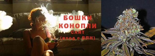 прущая мука Нея