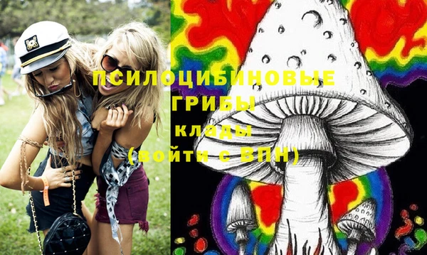 МДПВ Нефтекумск