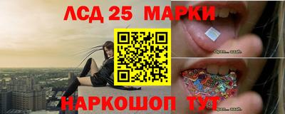 гашик Донецк