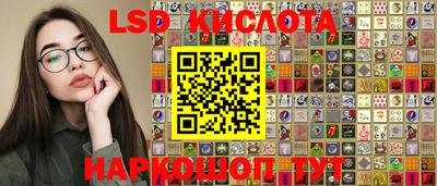 гашик Донецк