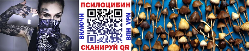 Псилоцибиновые грибы MAGIC MUSHROOMS  Приморско-Ахтарск 