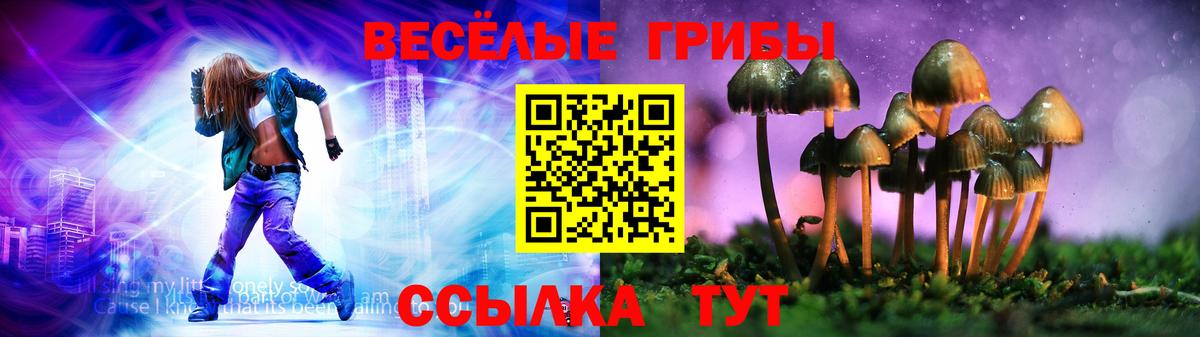 Приморско-Ахтарск  Псилоцибиновые грибы Psilocybe  Вход с VPN 